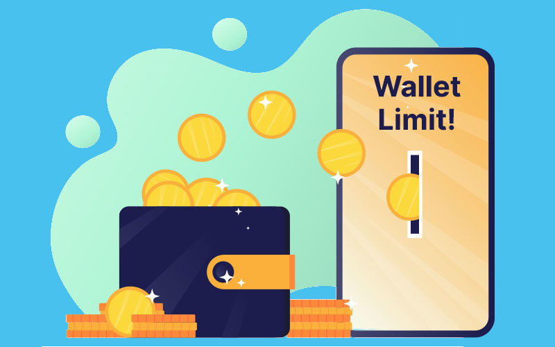 How Much Money Can Be Added To The Paytm Wallet?
