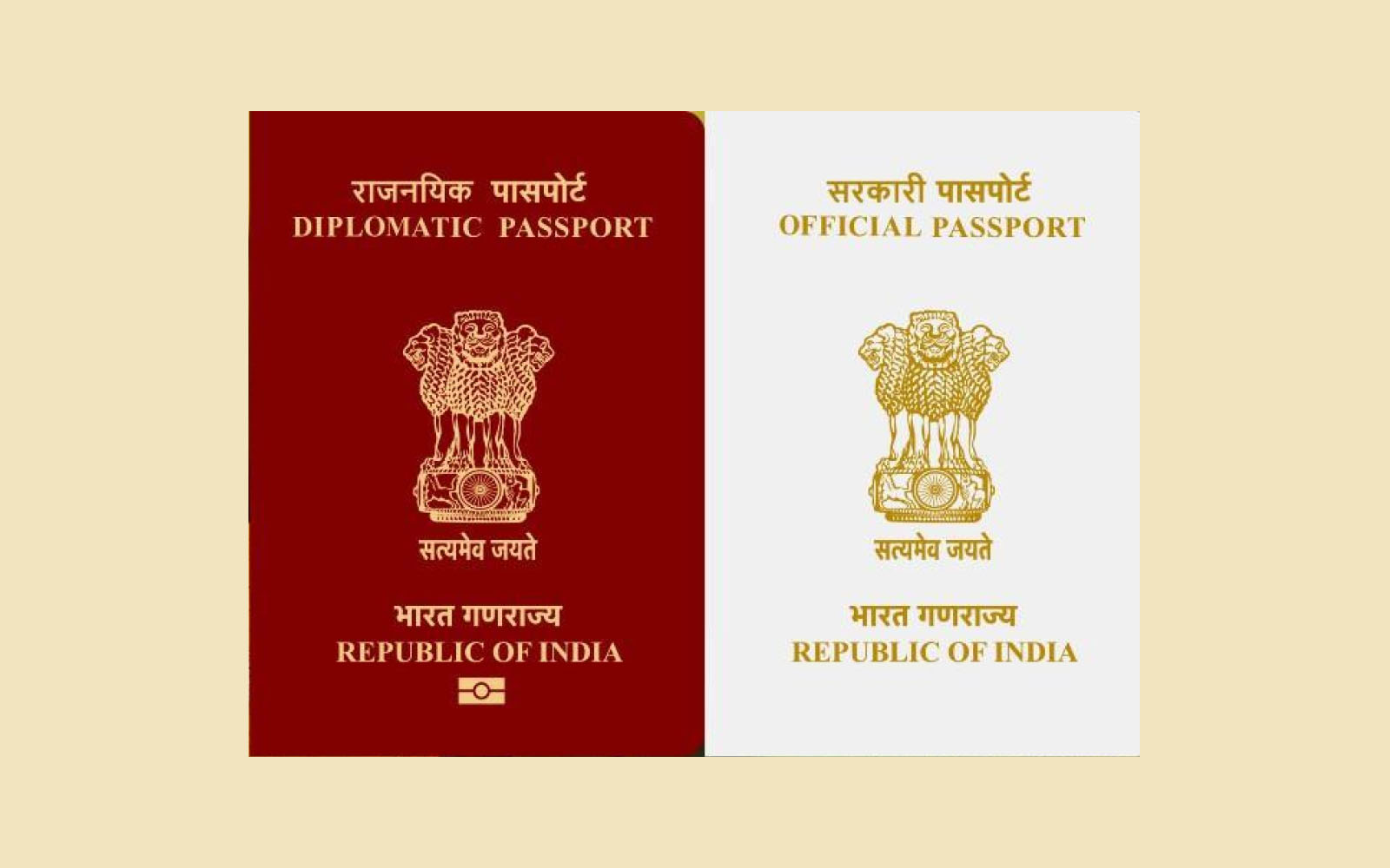 What is Diplomatic Passport: Know its Meaning & Red Passport